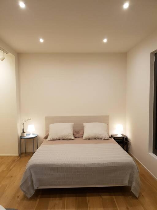 Experience The Loft! Loft 18, Downtown, Near The Lake Free Parking Available Lugano Exterior foto
